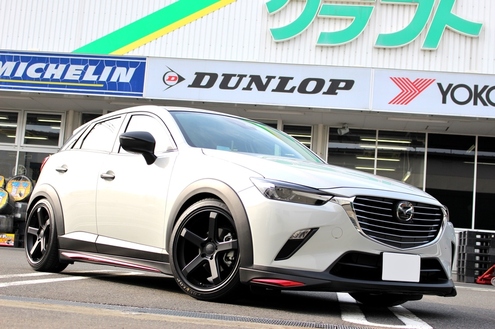 コンプリート Cx 3 車 高調 武茂壁