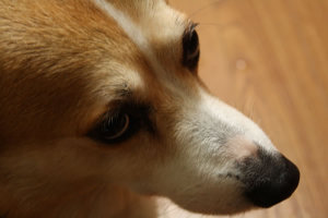 090524_02_big_2