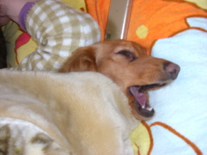 Cimg0608_2