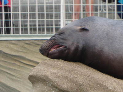 20130318131924.JPG