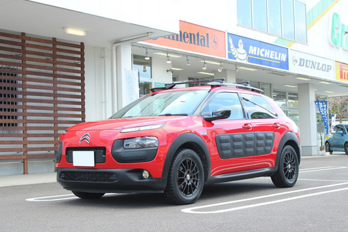 IMG_2350citroenc4cactus.JPG