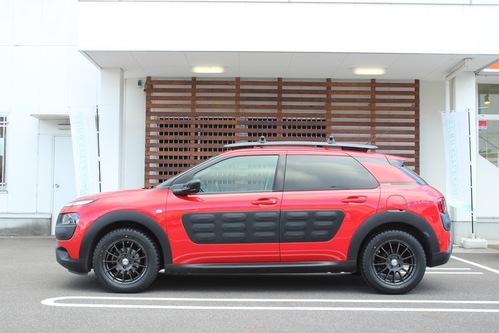 IMG_2351citroenc4cactus.JPG