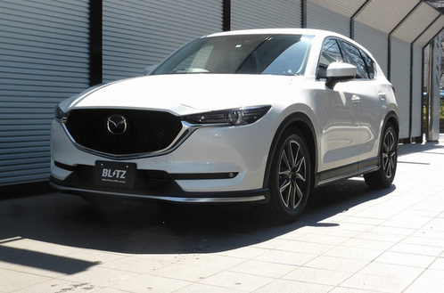 CX-5 11.jpg