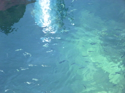 P1000014