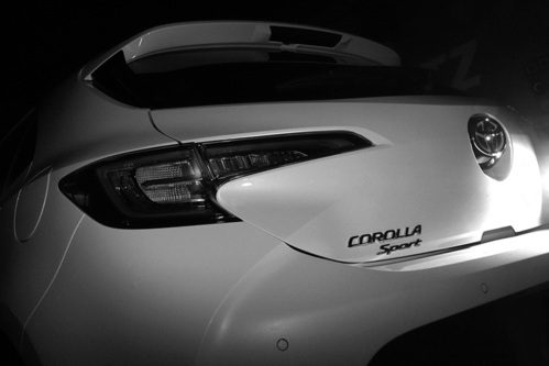 corolla_4.jpg
