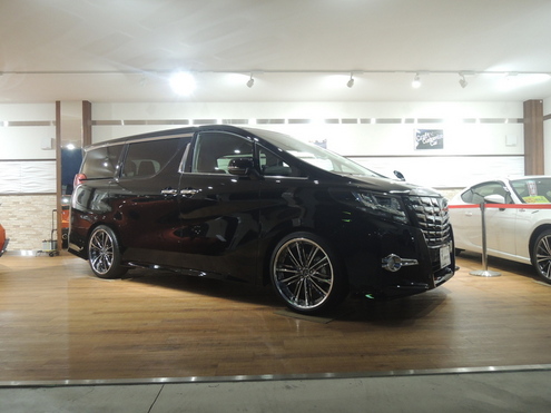 DSCN8558.JPG