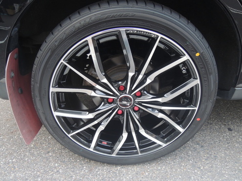 DSCN8488.JPG
