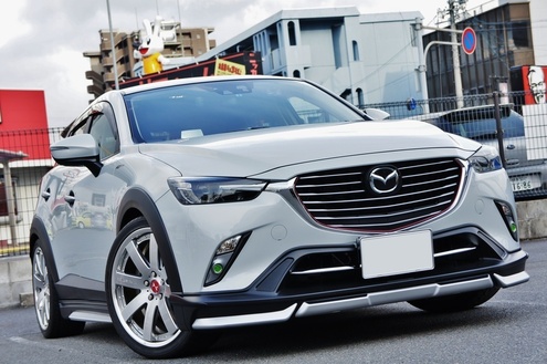 CX3 ZZR 508S (9).JPG