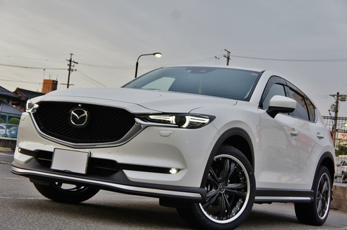 CX5 PARADA (6).JPG