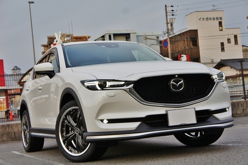 CX5 PARADA (7).JPG