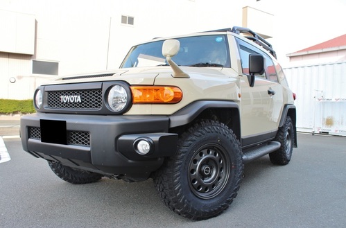 FJ1 (8).JPG